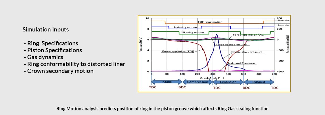 Ring Dynamic Simulation
